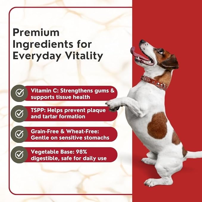 Goodies Dental Spiral Sticks for Dogs – 500g | Long-Lasting Oral Care Chews for All Breeds | Helps Reduce Plaque & Tartar | Supports Fresh Breath & Healthy Gums