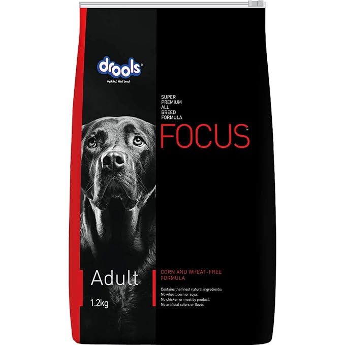 Drools Focus Premium Adult Dry Dog Food 1.2kg Pack | Chicken Flavour | Growth & Intelligence | Digestive Health | Healthy Skin & Coat | Improves Immunity