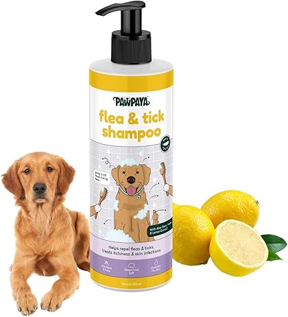 dog shampoo