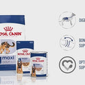 Royal Canin Maxi Adult Dog Food, 15 Kg, Dry Food, Supports Digestive Health & Optimal Health, Provides Bone & Joint Support
