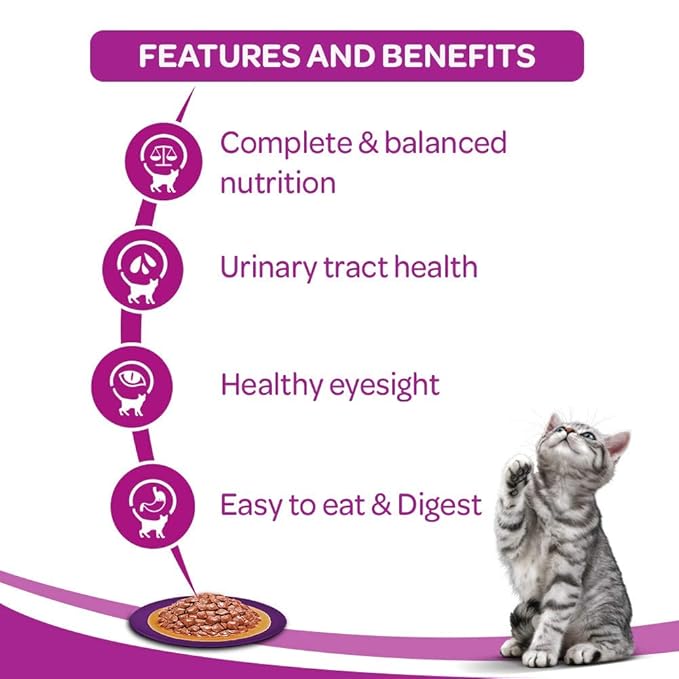 whiskas Adult (+1 Year) Wet Cat Food, Salmon In Gravy, 85G Pouch, 1 Count