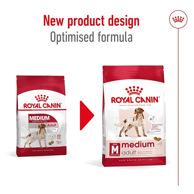 Royal Canin Medium Adult Dog Food, 1 Kg, Dry Food, Provides Muscle Mass, Supports Complex Natural Defense & Optimal Health Support
