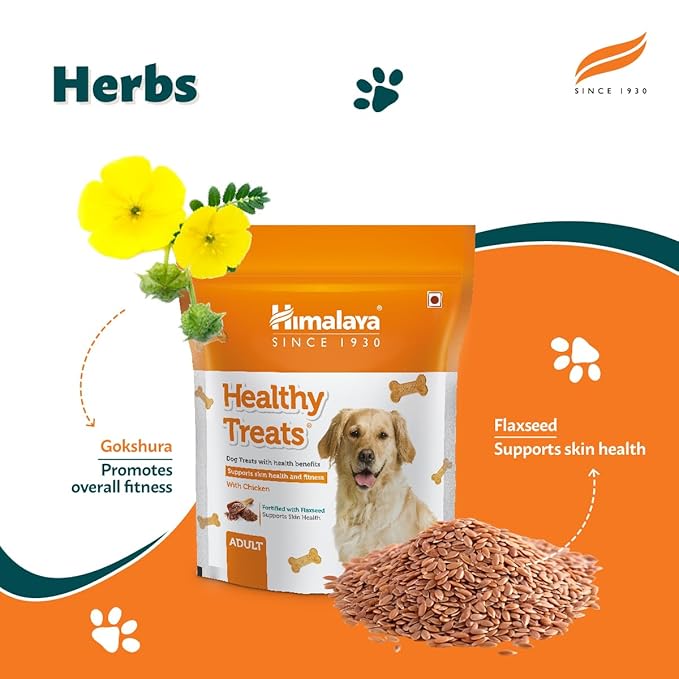 Himalaya Healthy Dog Biscuit Treats for Adult Dog with Chicken, 900g I Improves Skin Health I Active Life | Training & Rewards