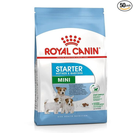 Royal Canin Mini Starter, Mother & Babdog Food, 1 Kg, Dry Food, Supports Complex Natural Defence & digestive health, Provides Gestation/Lactation Support, Supports Easy rehydration