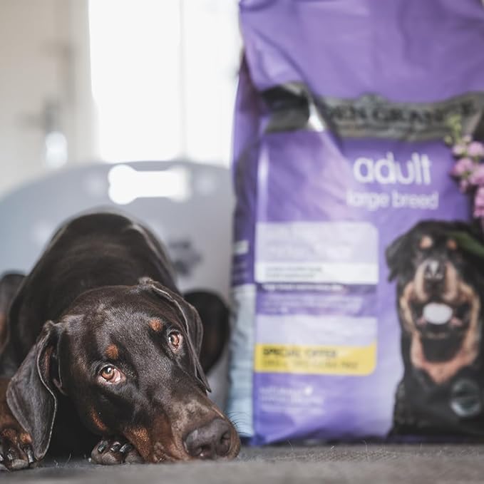 Arden Grange Adult Large Breed Dog Dry Chicken Food - 12Kg, 1 Count