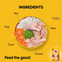 Pedigree Adult Dry Dog Food, Meat & Rice, 10 kg, Contains 37 Essential Nutrients, 100% Complete & Balanced Food for Adult Dogs