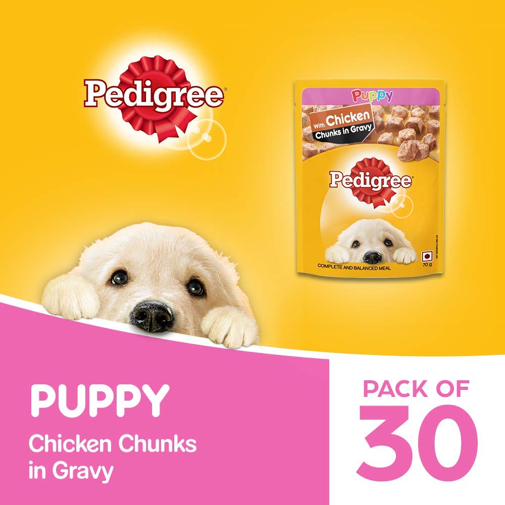 Pedigree Puppy Dry Dog Food, Meat & Milk, 20kg Pack & Puppy Wet Dog Food, Chicken Chunks in Gravy, 70 g (Pack of 30)