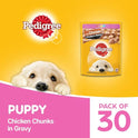 Pedigree Puppy Wet Dog Food, Chicken Chunks in Gravy, 70 g (Pack of 30) & Pedigree All Life Stages Biscrok Biscuits (Above 4 Months), Milk and Chicken Flavor, 900g Pack