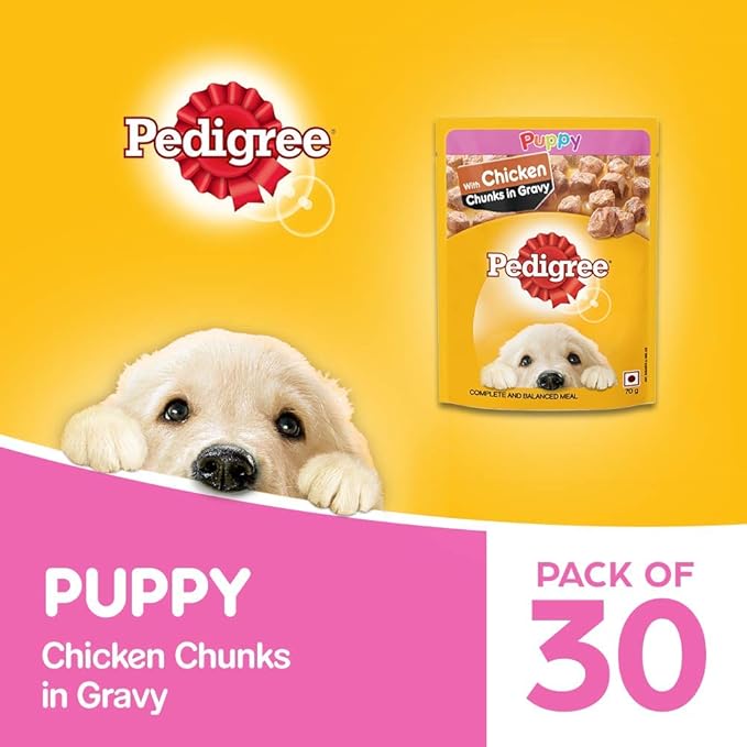 Pedigree Adult Dry Dog Food, Meat & Rice, 10kg Pack & Puppy Wet Dog Food, Chicken Chunks in Gravy, 70 g (Pack of 30)