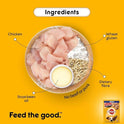 Pedigree Adult Dry Dog Food, Chicken & Vegetables, 10kg Pack & Pedigree Adult Wet Dog Food, Chicken & Liver Chunks in Gravy, 70 g (Pack of 15)