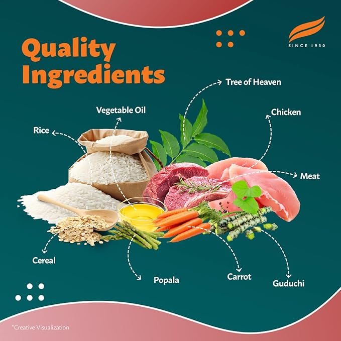 Himalaya Healthy PET Food for Adult Dogs | Meat & Rice | 10kg | Complete & Balanced Nutrition with Mountain Knot Grass, Tree of Heaven & Guduchi