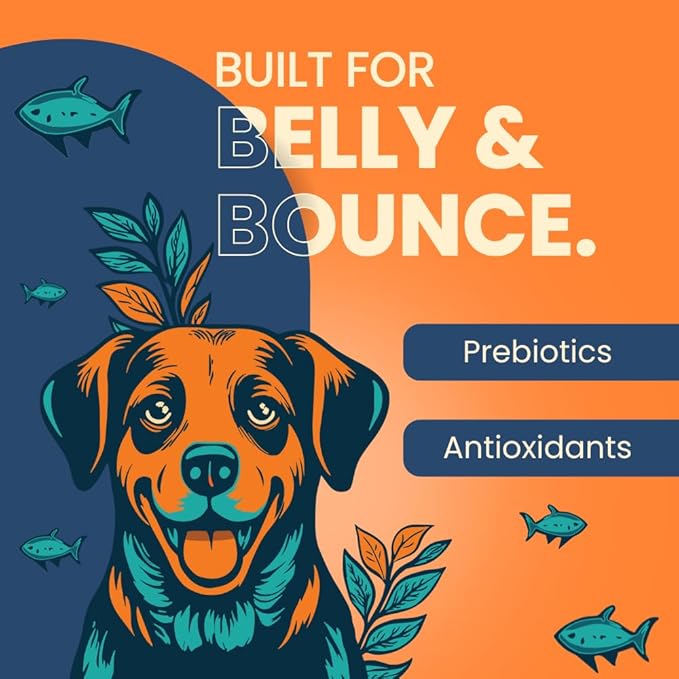 Thrive- Bark Out Loud Real Tuna Fish Dry Dog Food | Antioxidants, Omega, Multivitamins | Yucca for Digestion (9.8 Kg)