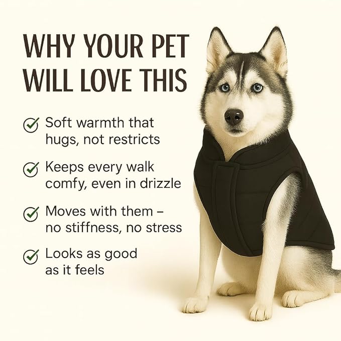 Zigly Lifestyle Trail Buddy Dog Jacket Black| Lightweight, Water-Resistant & Windproof Dog Coat - 2XL