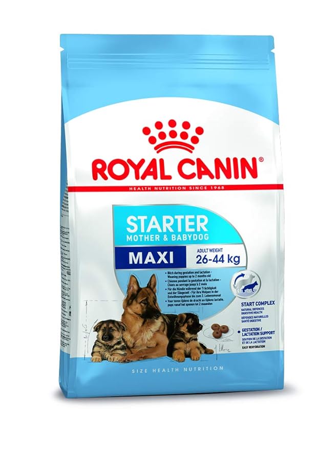 Royal Canin Maxi Starter, Mother & Babydog Food, 4 Kg, Dry Food, Supports Complex Natural Defence & digestive health, Provides Gestation/Lactation Support, Supports Easy rehydration