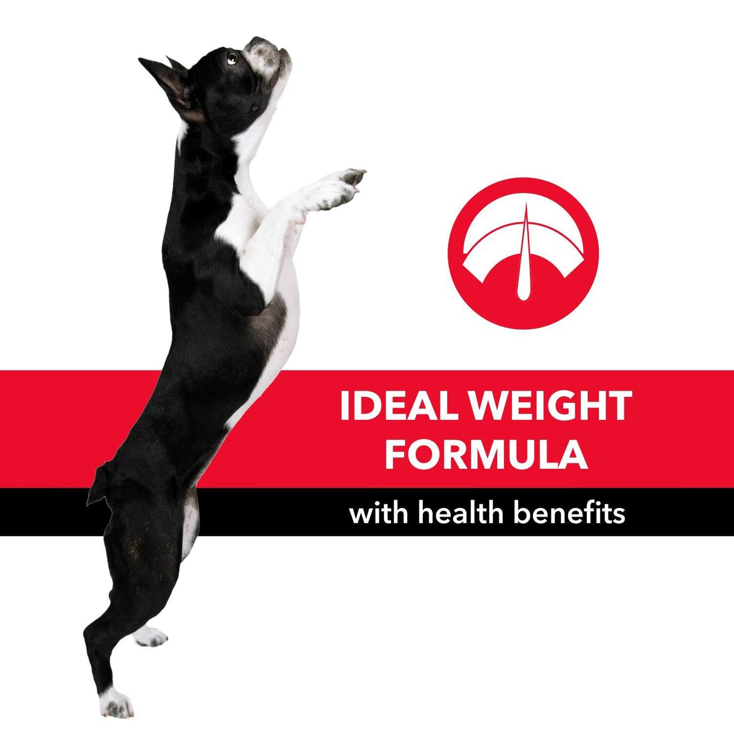 PUREPET Adult Dry Dog Food (Meat Flavor) - 10 kg Bag