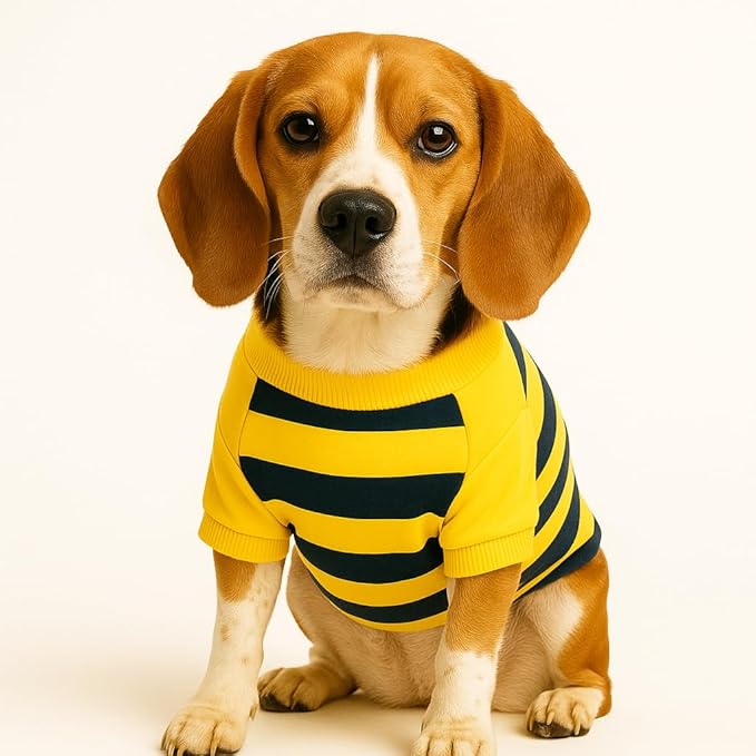 Zigly Lifestyle Bumble Stripe Dog Sweatshirt | Soft Cotton Pullover for Dogs | Warm, Lightweight, Easy-Wear Pet Clothing for Small to Large Breeds Size Small