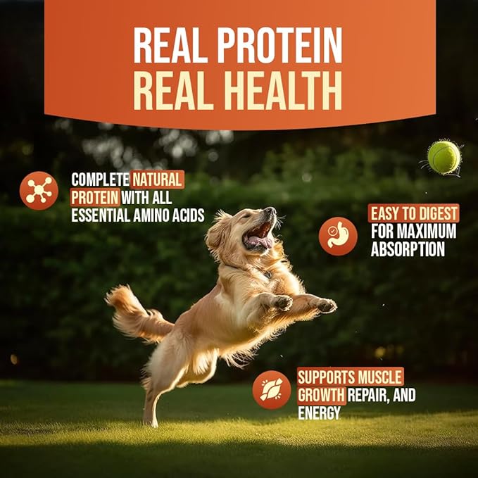 FirstBark Dog Treats for Adult Dog & Puppy – Snack Delights Duck Jerky for Dogs, Small Dogs & Shih Tzu | Dog Snacks & Puppy Treats – Roasted Duck (70g) x3