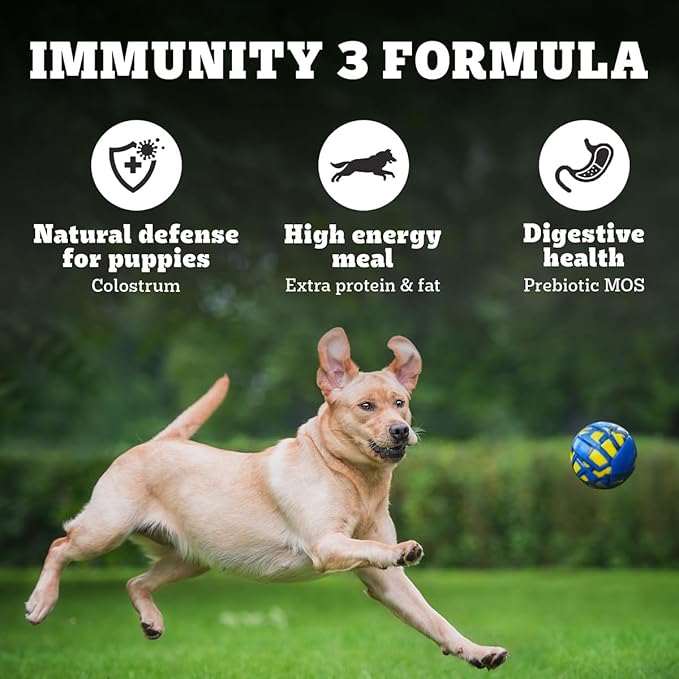 Pedigree PRO Mother & Pup Starter Large Breed, 10 kg Dry Dog Food, Vet Trusted Brand, Expert Nutrition, Quality Protein, 33% More Nutrients (3-12 Weeks)