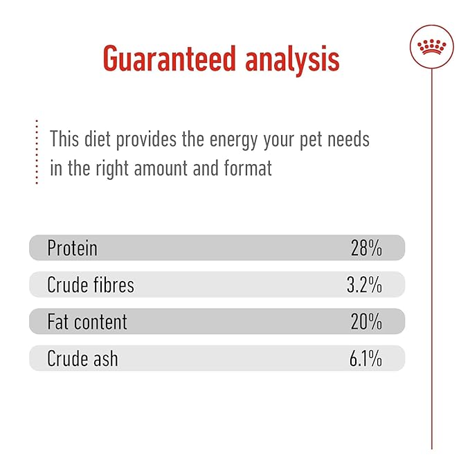 Royal Canin Giant Adult Dog Food, 4 Kg, Dry Food, Supports Healthy Joint, Digestive Health & Optimal Vitality Complex