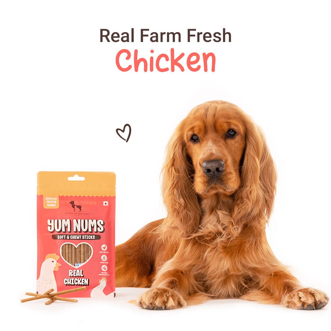 HUFT Yum Nums Soft & Chewy Sticks - Real Chicken | Dog Training Treats | Healthy Dog Snacks | Dog Treats for Puppies & Adults | Pet Chews & Tasty Rewards - 75gm