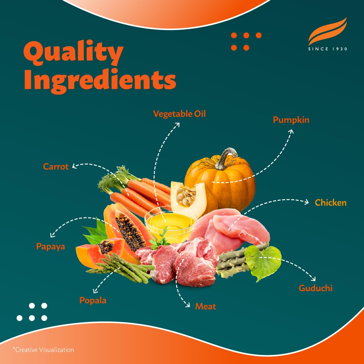 Himalaya Healthy Pet Food | Chicken & Pumpkin Flavor | For Healthy Appetite & Shiny coat | 100% Complete & Balanced Food for Adult Dogs | 1.2 kg Pack