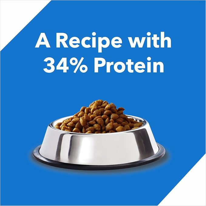 Drools Kitten(1-12 months) Dry Cat Food, Ocean Fish - 4kg (3kg + 1kg Free Food Inside)