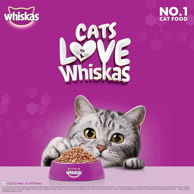 Whiskas Junior Mother Cat & Kitten (2-12 Months) Dry Cat Food, Ocean Fish Flavour, 450 g, Contains 41 Essential Nutrients, Complete & Balanced Nutrition for Mother Cats & Kittens (Pack of 2)