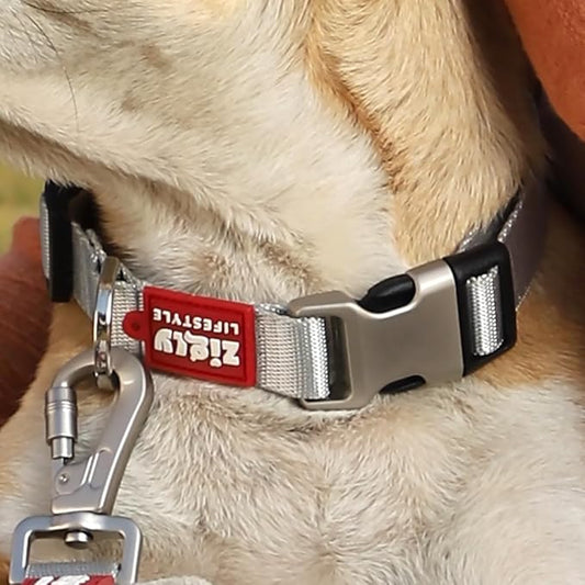 Zigly Lifestyle Classic Adjustable Dog Collar Belt For Small Medium Large Dogs Neck Collar For Pets - Large (Silver),Nylon,67X2.5 Cm
