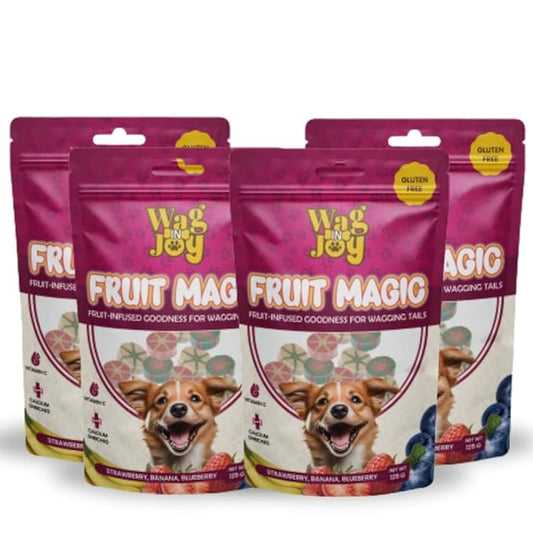 Fruit Magic Veg Treats for Dogs | Vitamin C, Calcium Enriched | Gluten Free | Mix Fruit, Strawberry, Blueberry & Banana Flavour, 125 gm (Candies Shape) (Pack of 4)