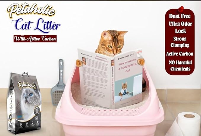 Petaholic Cat Litter (Pack of 2) New Restored Active Carbon for Super Quick Cleaning | Bentonite Clumping Cat Litter with Ultra Odor Control | Safe for Multiple Cats & Kittens (10L + 10L)