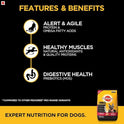 Pedigree Adult Wet Dog Food, Chicken & Liver Chunks in Gravy, 70 g (Pack of 15) & PRO Expert Nutrition Active Adult Large Breed Dog (18 Months Onwards) Dry Pellet Dog Food, Chicken, 20kg Pack