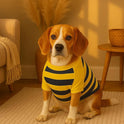 Zigly Lifestyle Bumble Stripe Dog Sweatshirt | Soft Cotton Pullover for Dogs | Warm, Lightweight, Easy-Wear Pet Clothing for Small to Large Breeds Size Small