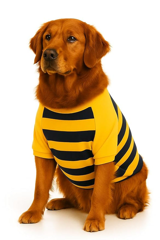 Zigly Lifestyle Bumble Stripe Dog Sweatshirt | Soft Cotton Pullover for Dogs | Warm, Lightweight, Easy-Wear Pet Clothing for Small to Large Breeds Size Small