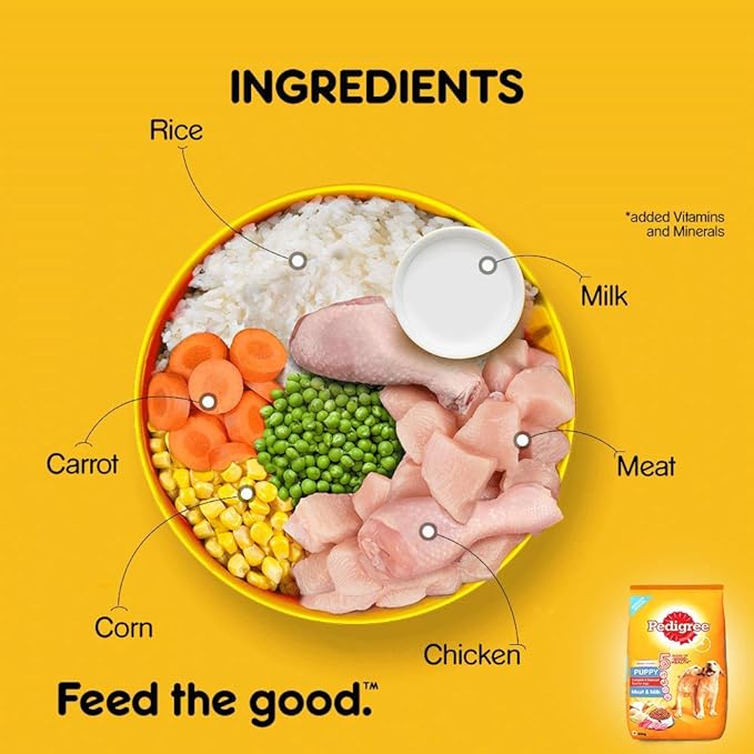 Pedigree Puppy Dry Dog Food, Meat & Milk, 20kg Pack & Puppy Wet Dog Food, Chicken Chunks in Gravy, 70 g (Pack of 30)