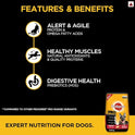 Pedigree PRO Expert Nutrition Dry Food (18 Months Onwards), 20kg Pack& Wet Food for Adult Dogs, 30 Pouches (30 X 70 g)
