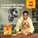 Pedigree Puppy Wet Dog Food, Chicken Chunks in Gravy, 70 g (Pack of 90), Complete & Balanced Meal for Puppies