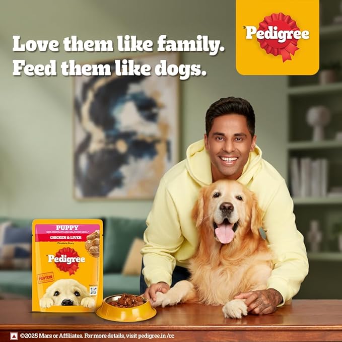 Pedigree Puppy Wet Dog Food, Chicken Chunks in Gravy, 70 g (Pack of 90), Complete & Balanced Meal for Puppies
