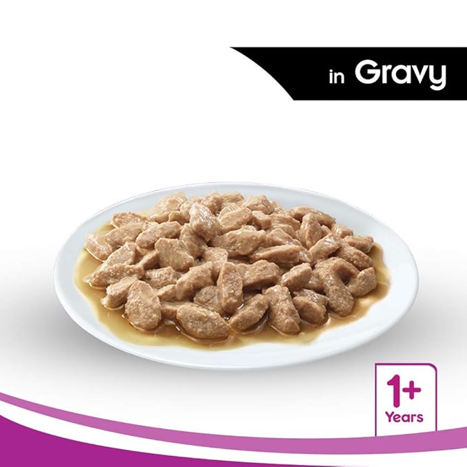 whiskas Adult (+1 Year) Wet Cat Food, Salmon In Gravy, 85G Pouch, 1 Count