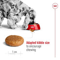 Royal Canin Medium Adult Dog Food, 15 Kg, Dry Food, Supports Digestive Health & Promotes Natural Defence