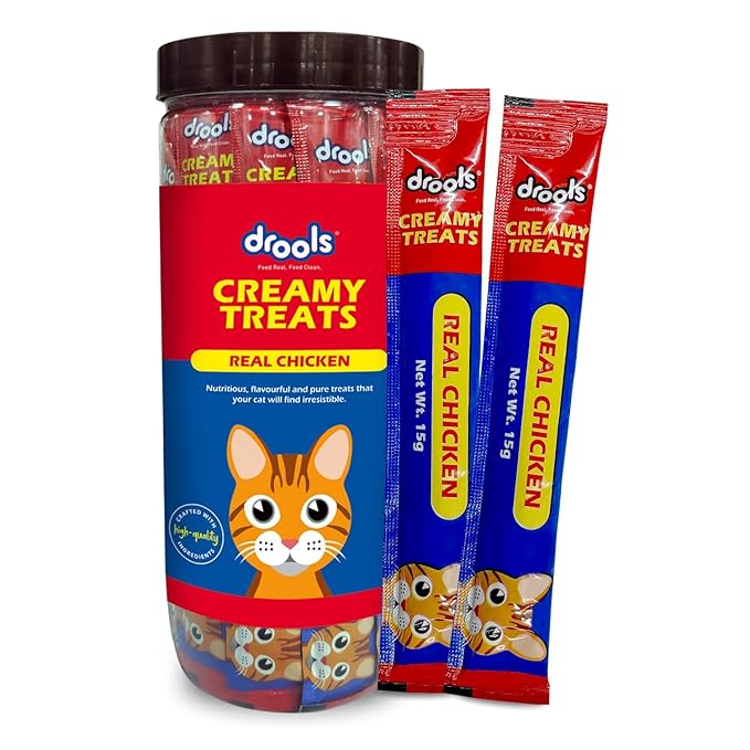 Drools Creamy Cat Treats, Real Chicken, 375 Gm (Pack of 25) & Kitten(1-12 Months) Dry Cat Food, Ocean Fish, 1.2Kg with Free Container