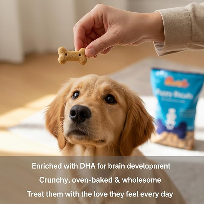 Nootie Chicken Puppy Biscuits - Chicken & Peanut Butter Flavoured Treats for Puppies | Protein-Rich, Highly Digestible & Nutritious | Suitable for All Breeds | 900g