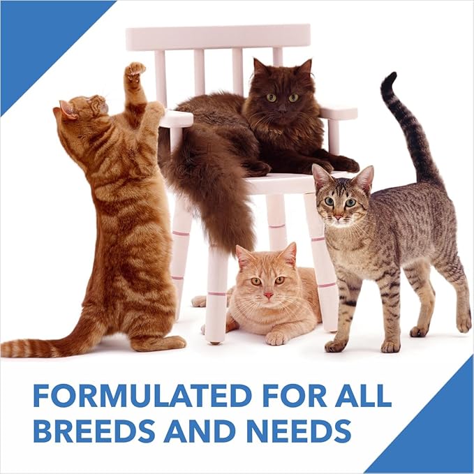 Drools Cat Adult Dry Cat Food 1kg with Free Cat Creamy Treat 75g | Tuna & Salmon Flavour | Hair Ball Protection | Taurine for Healthy Heart | Healthy Skin & Beautiful Coat