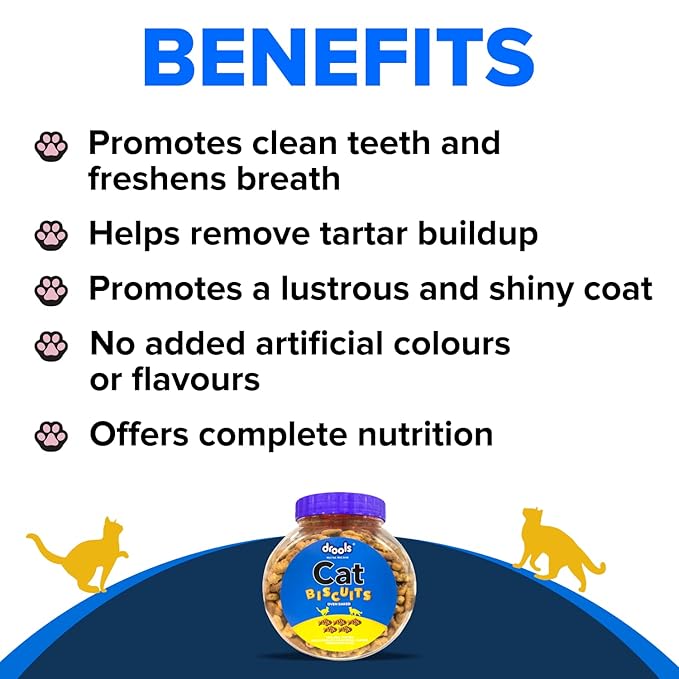 Drools Adult Cat Treat Biscuits 400g Jar | Real Chicken Flavour | Active behaviour | Oral Health | Training and Behaviour