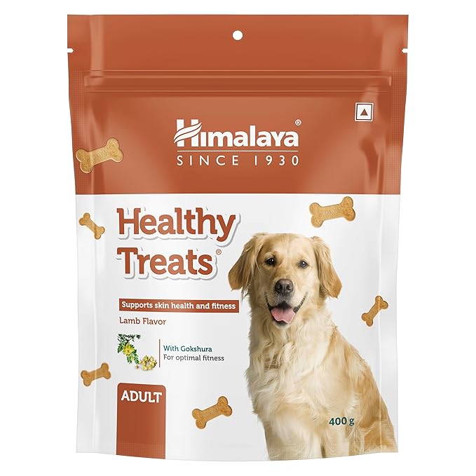 Himalaya Healthy Treats for Adult Dogs | Lamb | 400g | with Gokshura & Flaxseed | Protein-Rich Fitness Snack