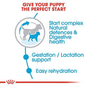 Royal Canin Mini Starter, Mother & Babdog Food, 1 Kg, Dry Food, Supports Complex Natural Defence & digestive health, Provides Gestation/Lactation Support, Supports Easy rehydration