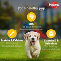 Pedigree Puppy Wet Dog Food, Chicken Chunks In Gravy, 30 Pouches (30 X 80G), 1 Count