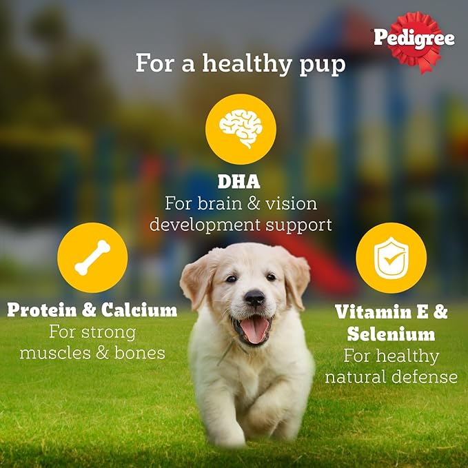 Pedigree Puppy Wet Dog Food, Lamb Flavour Chunks in Gravy, 130 g (Pack of 12), Complete & Balanced Meal for Puppies
