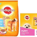 Pedigree Puppy Dry Dog Food, Meat & Milk, 20kg Pack & Puppy Wet Dog Food, Chicken Chunks in Gravy, 70 g (Pack of 30)