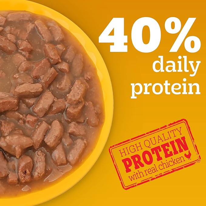 Pedigree Adult Wet Dog Food, Chicken & Liver Chunks in Gravy, 70 g (Pack of 90), Complete & Balanced Meal for Adult Dogs