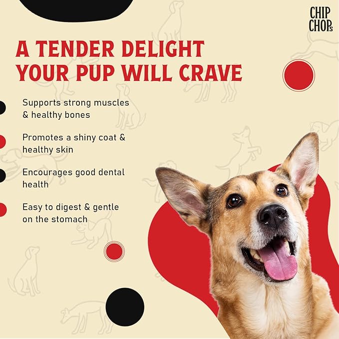 Chip Chops Sun Dried Chicken Jerky Dog Treat are an Excellent Source of Protein and Low in Fat, Providing a Healthy Snack Option for Your Dog 250g Pack of (2)
